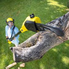 Best Organic Lawn Care Solutions  in Rouses Point, NY
